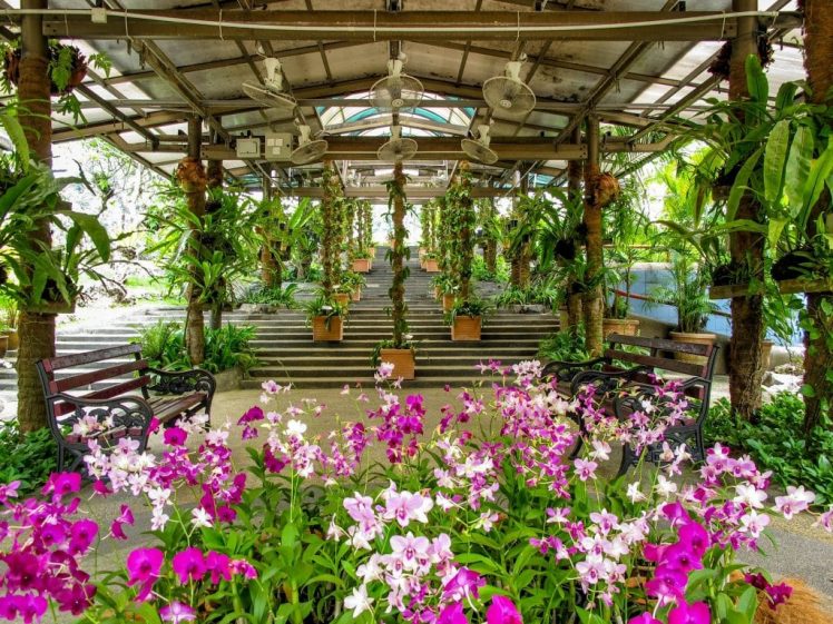 Beautiful Gardens You Can Visit In Malaysia